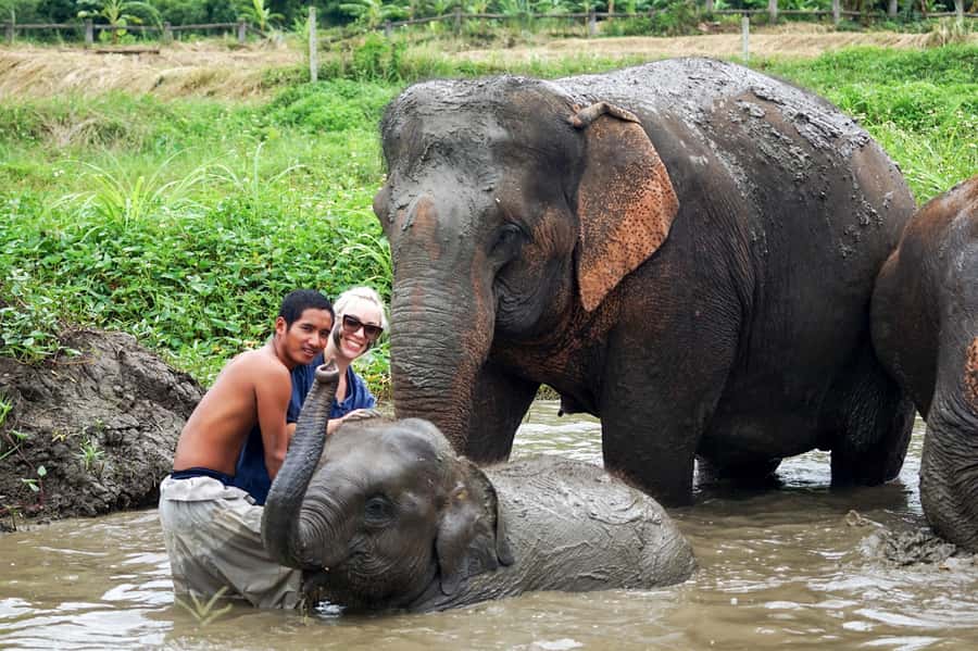 Chiang Mai: Small Group Ethical Elephant Sanctuary Tour - Making Herbal Vitamin Balls: A Small Task With Big Meaning