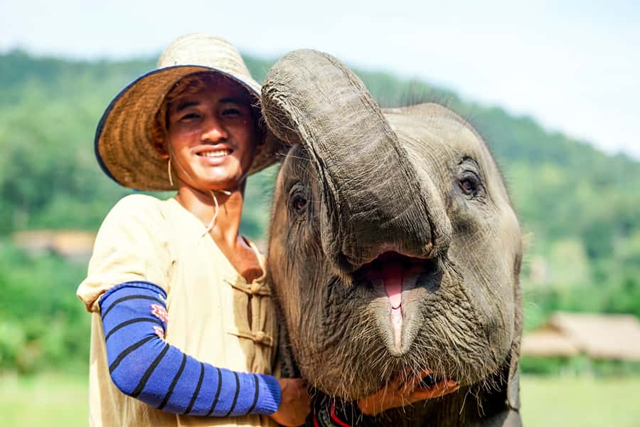 Chiang Mai: Small Group Ethical Elephant Sanctuary Tour - Getting There From Chiang Mai: Pickup Times and the Meet Point at Wat Phra Singh