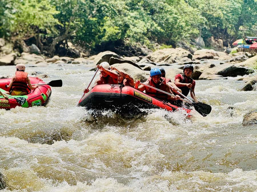 Chiang Mai: Sticky Waterfall and Rafting Day Trip - Key highlights you’ll care about
