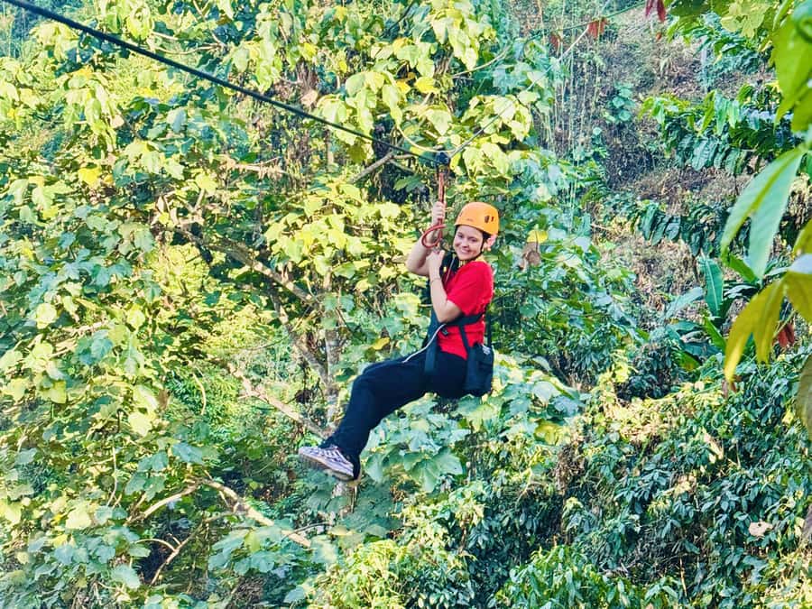 Chiang Mai: Sticky Waterfall and Zipline Adventure Day Trip - Why This Chiang Mai Day Trip Feels Worth It