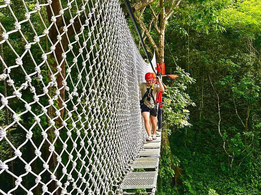 Chiang Mai: Sticky Waterfall and Zipline Adventure Day Trip - The 7-Hour Schedule: What Happens and Why It Matters