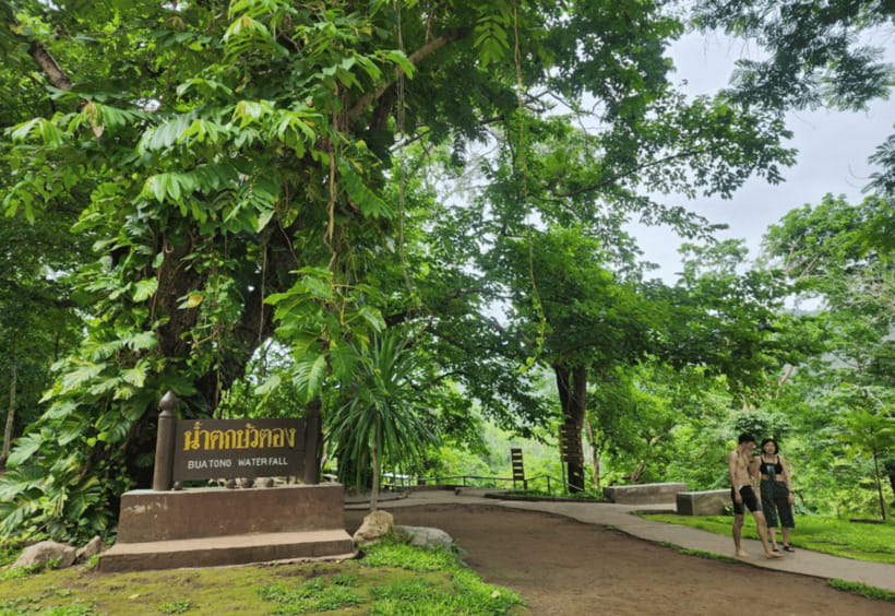 Chiang Mai: Sticky Waterfall, Bua Tong Cave Join Tour - Sticky Waterfall Basics: Why Bua Tong Is Different