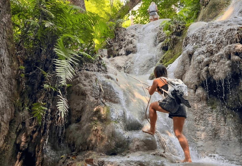 Chiang Mai: Sticky Waterfall, Bua Tong Cave Join Tour - What Happens at the Falls: Climbing, Swimming, and Photo Time