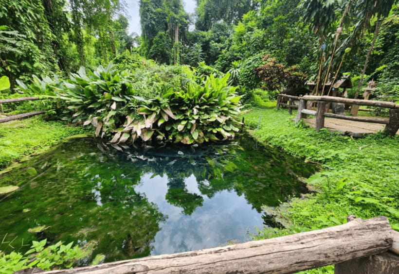 Chiang Mai: Sticky Waterfall, Bua Tong Cave Join Tour - Pong Jo Lake: When the Short Walk Feels Like a Break