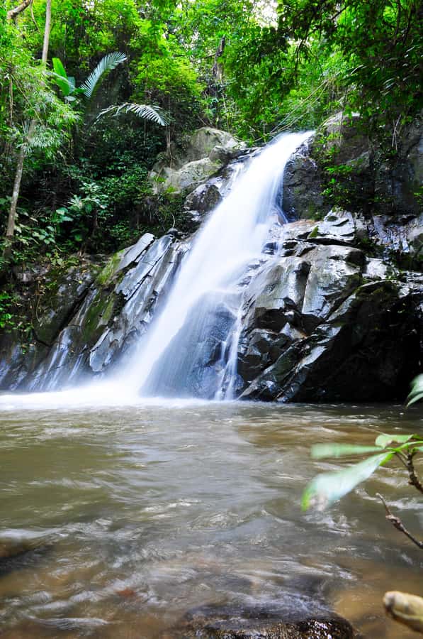 Chiang Mai: Sticky Waterfall & Caves Tour w/ Treehouse Stay - Tree House Hideaway: sleeping above the forest with private bathrooms