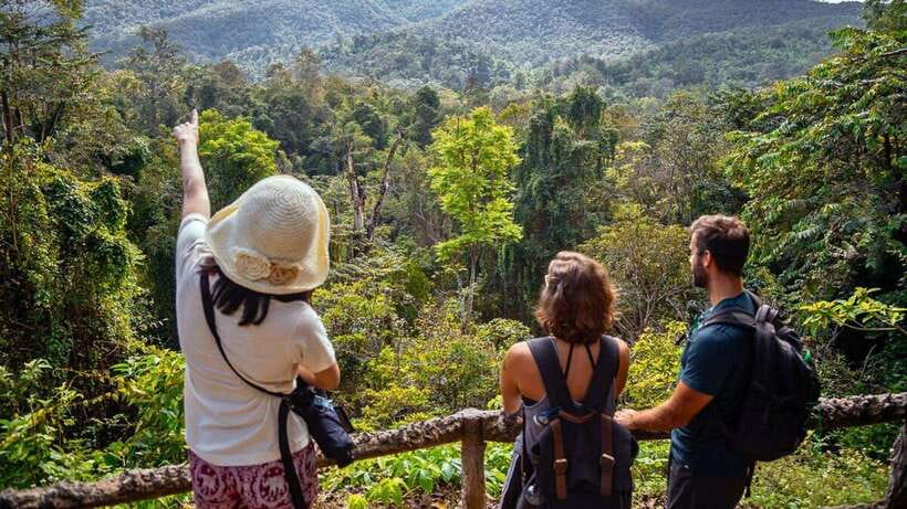 Chiang Mai: Sticky Waterfall, Chet Si Fountain Park Transfer - Key things I’d watch for