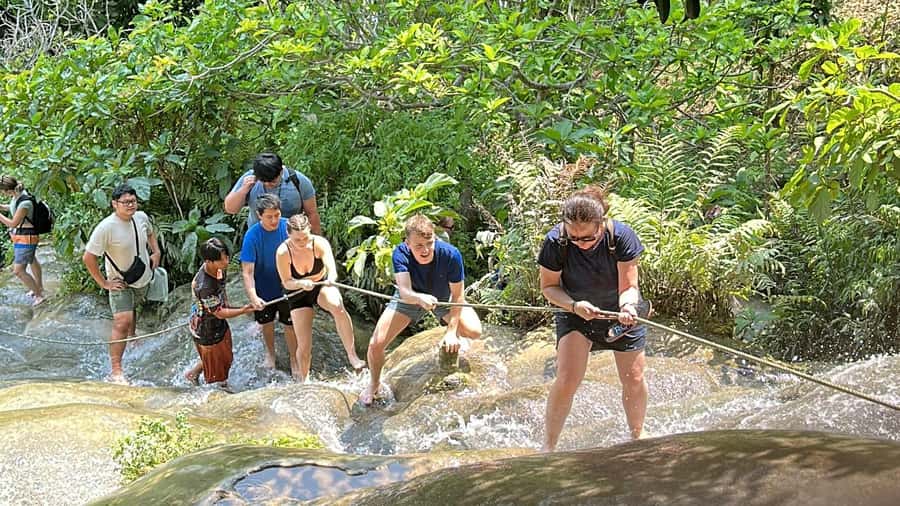 Chiang Mai : Sticky waterfall (Half Day Tour) Hotel Transfer - Sticky Waterfall in Chiang Mai: what makes Bua Tong special