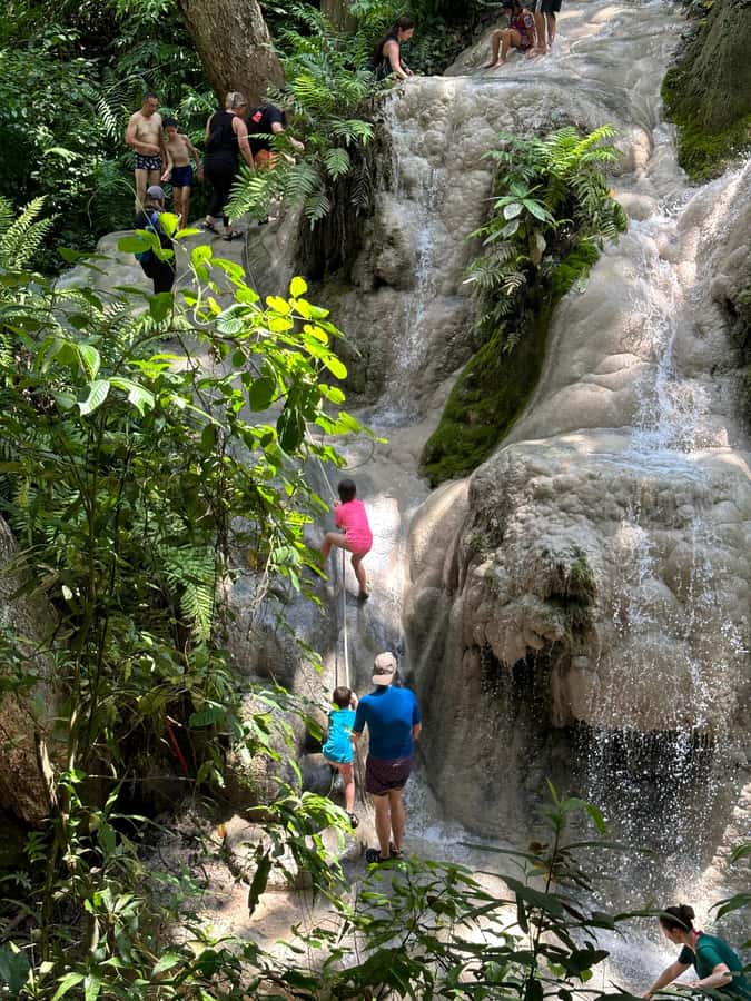 Chiang Mai : Sticky waterfall (Half Day Tour) Hotel Transfer - Your half-day plan: how the timing works and how to use the 2 hours