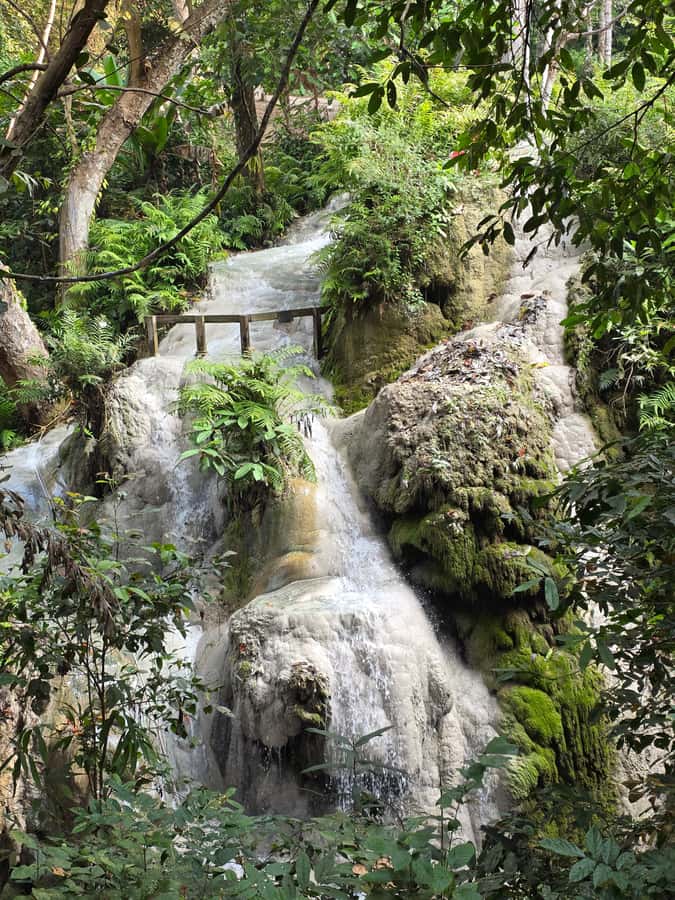 Chiang Mai : Sticky waterfall (Half Day Tour) Hotel Transfer - Price and value: what $19 really buys you in Chiang Mai