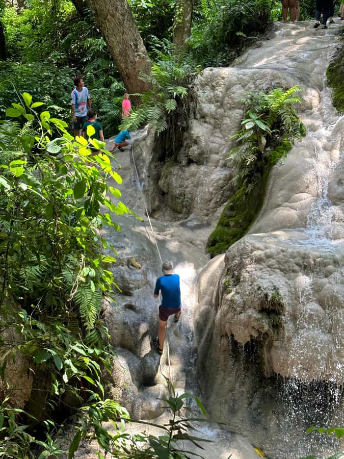 Chiang Mai : Sticky waterfall (Half Day Tour) Hotel Transfer - Should you book the Chiang Mai Sticky Waterfall half-day transfer?