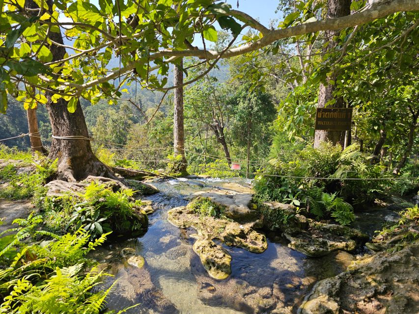 Chiang Mai: Sticky Waterfall Half-Day Tour & Hotel Transfers - Key things I’d plan around before you go