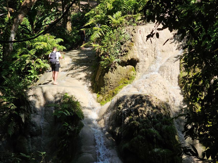Chiang Mai: Sticky Waterfall Half-Day Tour & Hotel Transfers - How long is this half-day, and why that matters