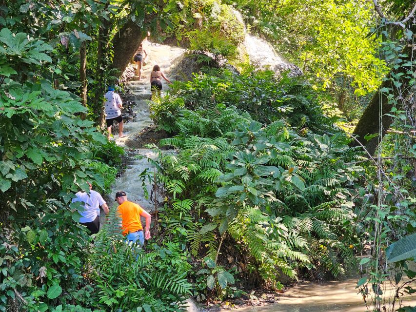 Chiang Mai: Sticky Waterfall Half-Day Tour & Hotel Transfers - Bua Thong Sticky Waterfall: what the climb actually feels like