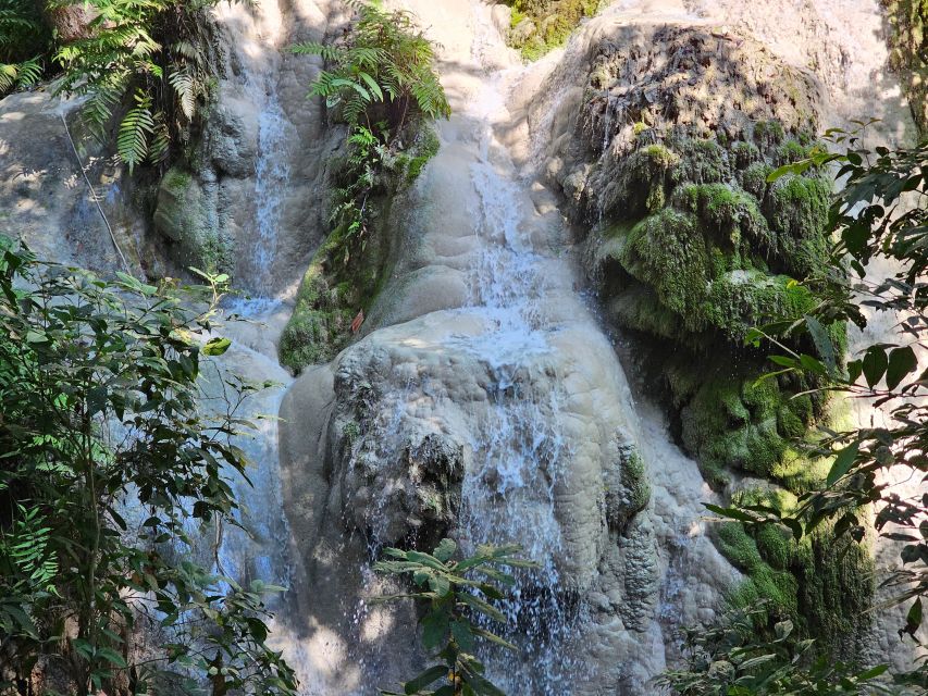 Chiang Mai: Sticky Waterfall Half-Day Tour & Hotel Transfers - Swimming at the falls: worth it, but prep matters