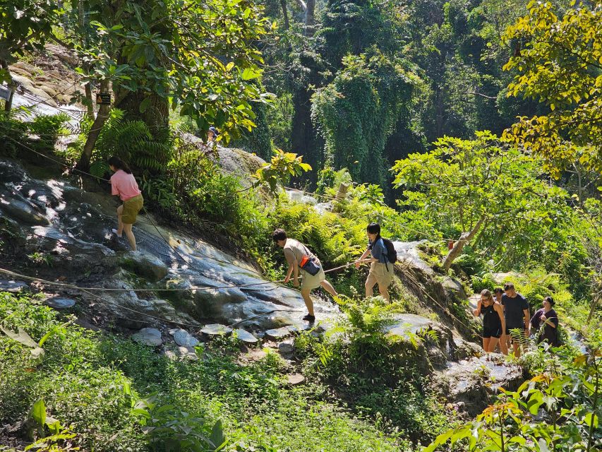 Chiang Mai: Sticky Waterfall Half-Day Tour & Hotel Transfers - What to bring for a smooth day (and what to skip)