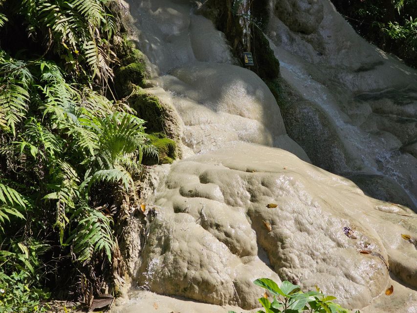 Chiang Mai: Sticky Waterfall Half-Day Tour & Hotel Transfers - Hotel day-flow: morning or afternoon, and how to choose