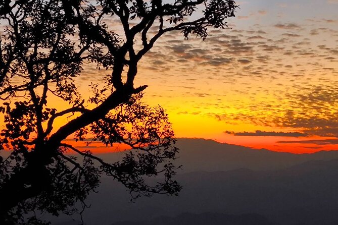 Chiang Mai Sunset Point,Wat Pha Lat,Wat Doi Suthep,Wat Umong - Key Takeaways Before You Go