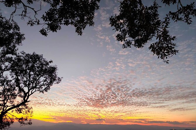 Chiang Mai Sunset Point,Wat Pha Lat,Wat Doi Suthep,Wat Umong - English Guide Quality: What to Expect and How to Get More From the Day