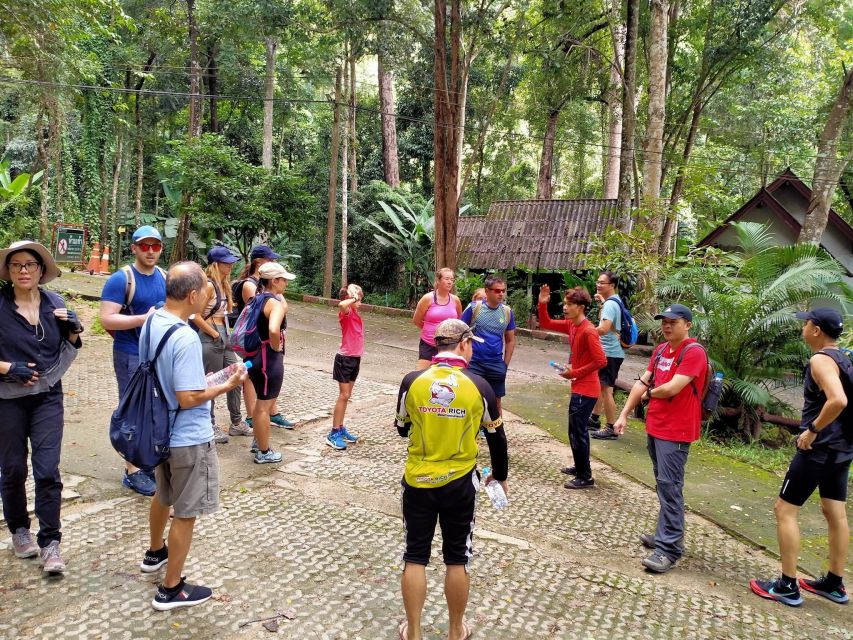 Chiang Mai: Suthep National Park Hiking & DH Mountain Biking - Doi Suthep From Two Angles: Jungle Climb Then Fast Downhill