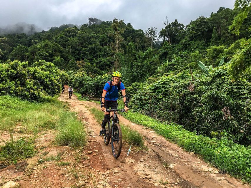 Chiang Mai: Suthep National Park Hiking & DH Mountain Biking - Price and What You Really Get for $62 (Plus the 250 Baht Fee)