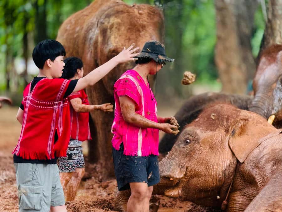Chiang Mai : Temple , Nature and culture in one day. - Key things to love about this Chiang Mai day trip
