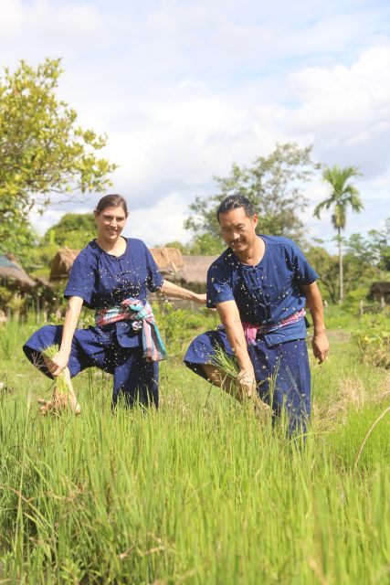 Chiang Mai: Thai Buffalo and Rice Planting Experience - Key highlights that make this farm day worth it