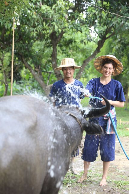 Chiang Mai: Thai Buffalo and Rice Planting Experience - A 150-Minute Farmer Day at Hang Tueng (Chiang Mai Province)