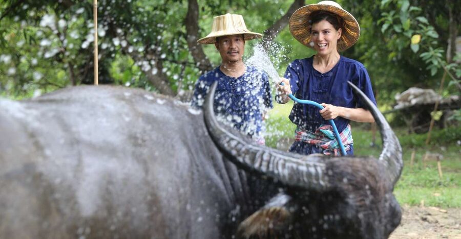 Chiang Mai: Thai Buffalo and Rice Planting Experience - Rice Planting the Thai Way: Nursery Mud, Seedlings, and Technique
