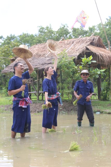 Chiang Mai: Thai Buffalo and Rice Planting Experience - Pickup, Red Taxi, and the Flow of the Morning