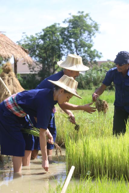 Chiang Mai: Thai Buffalo and Rice Planting Experience - Price and Value: Is $57 Fair for 150 Minutes?