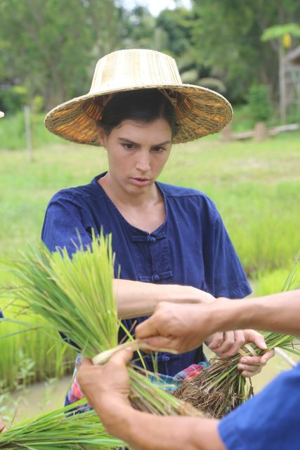 Chiang Mai: Thai Buffalo and Rice Planting Experience - Who Should Book This (and Who Might Skip It)