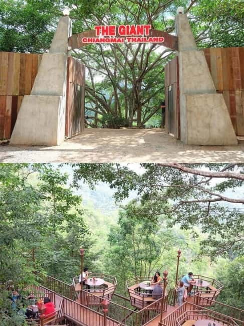 Chiang Mai: The Giant Café & Mae Kampong Village Day Trip - Mae Kampong Waterfall: short walk, cool air, and shoe choice