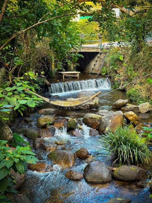 Chiang Mai: The Giant Café & Mae Kampong Village Day Trip - Pacing and group energy: how the day stays “not rushed”