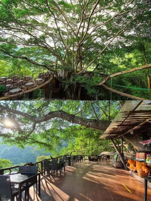 Chiang Mai: The Giant Café & Mae Kampong Village Day Trip - Getting there from Chiang Mai: shared minivan and English support