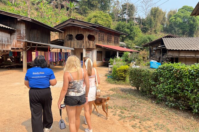 Chiang Mai to Doi Inthanon Full Day Shared Tour - Ang Ka Nature Trail: Easy walking on a wooden platform