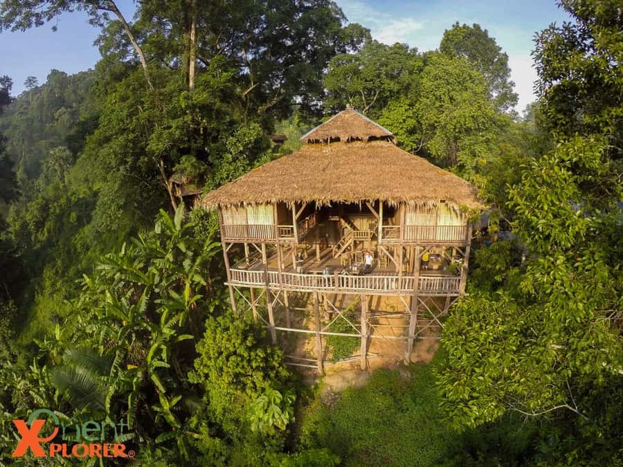 Chiang Mai: Tree House Stay & Jungle Zip-Lining - Tree House Hideaway in Chiang Mai: what kind of trip this really is