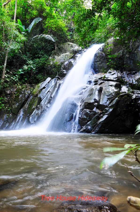 Chiang Mai: Tree House Stay & Jungle Zip-Lining - Phoenix Adventure Park ziplining: canopy views and that good photo question