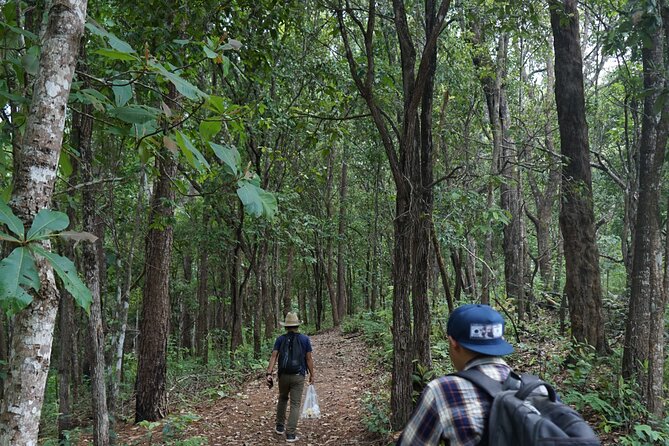 Chiang Mai Trekking Tour :Full day (no rafting) - Chiang Mai Trekking and Elephant Sanctuary in the Doi Inthanon Area