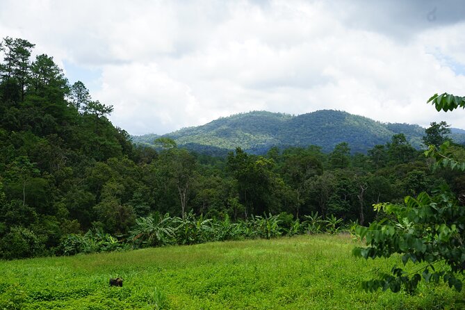 Chiang Mai Trekking Tour :Full day (no rafting) - What the Sanctuary Experience Means for Your Trip Style