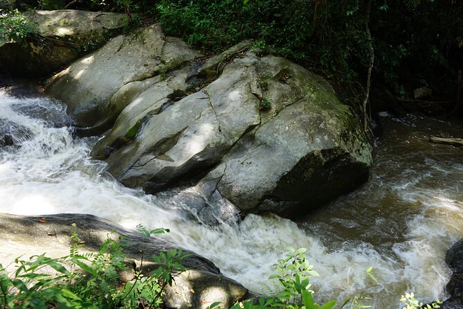 Chiang Mai Trekking Tour :Full day (no rafting) - Weather, Fitness, and Comfort: The Stuff That Changes the Day