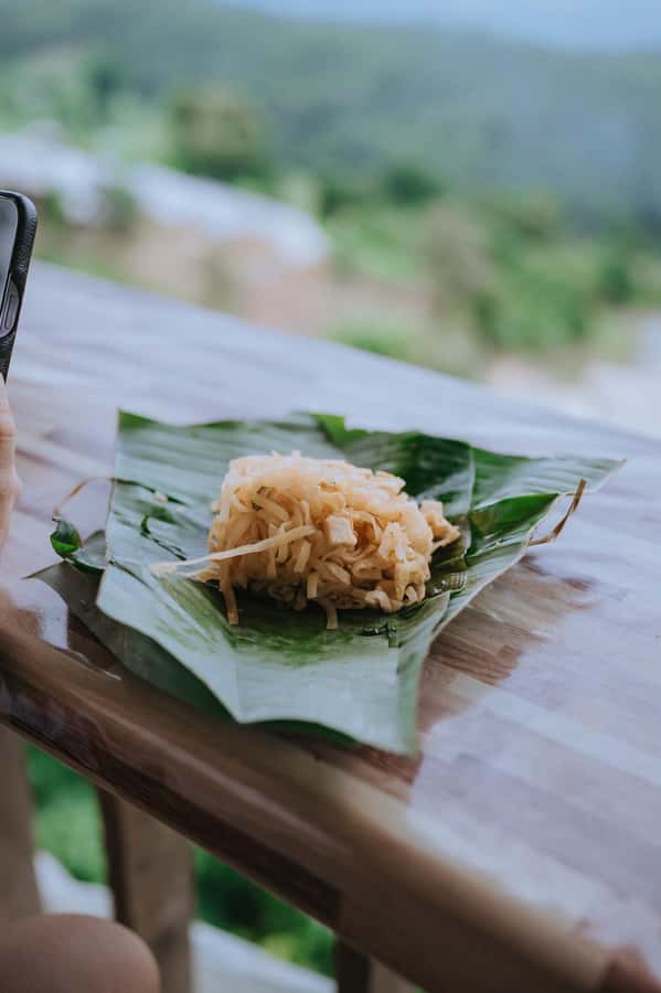 Chiang Mai: Two-day Temple of Elephants Sanctuary Tour - Overnight by the Waterfall: Bamboo Huts, Real Nature