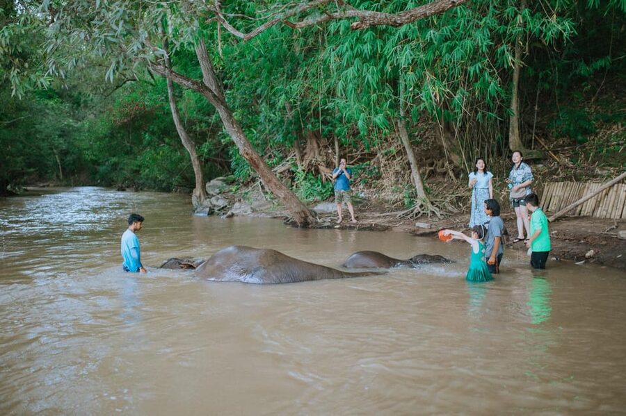 Chiang Mai: Two-day Temple of Elephants Sanctuary Tour - Mud Spa and River Time with Elephants (What You Need)