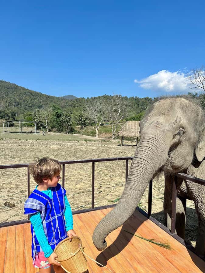 Chiang Mai: Two-day Temple of Elephants Sanctuary Tour - Second Day Waterfalls to Chiang Mai Drop-Off