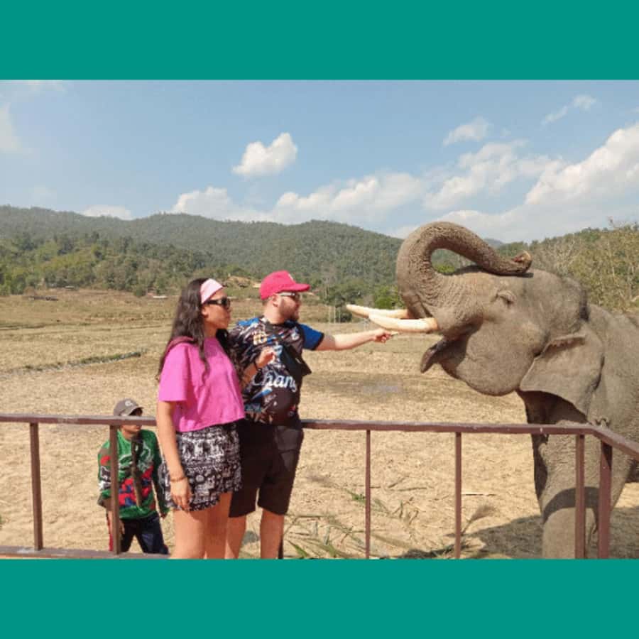 Chiang Mai: Two-day Temple of Elephants Sanctuary Tour - Price and Value for $118: What’s Included vs Not