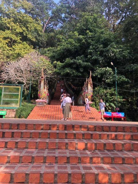 Chiang Mai: Wat Pha Lat & Wat Phra That Doi Suthep Tour - How English Guides Turn Temples into Real Culture