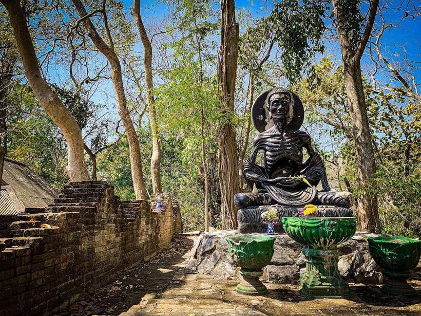 Chiang Mai:Wat Phra That Doi Suthep & Wat Umong Evening Tour - Who should book this tour (and who should skip)