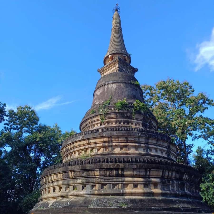 Chiang Mai: Wat Umong, Wat Pha Lat And Wat Doi Suthep Tour - Who This Tour Fits (and Who Might Struggle)