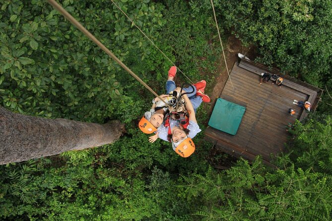 Chiang Mai Zip Line Experience - Key Points You Should Know Before You Go