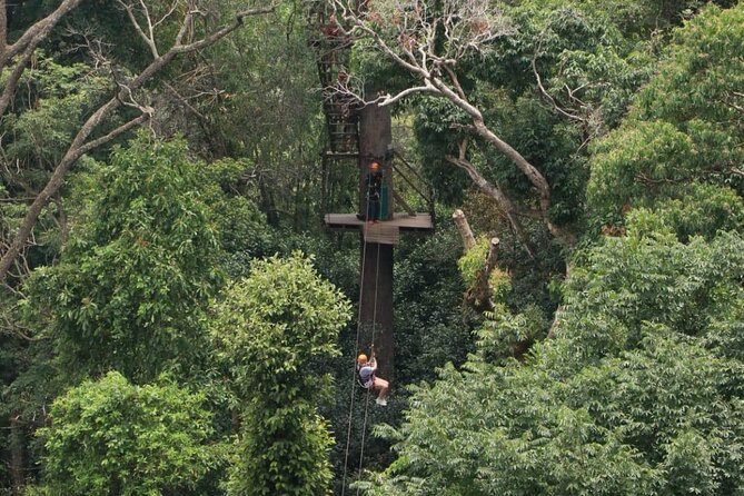 Chiang Mai Zip Line Experience - Flying the Forest: The Course Breakdown From Platforms to the Water Crossing
