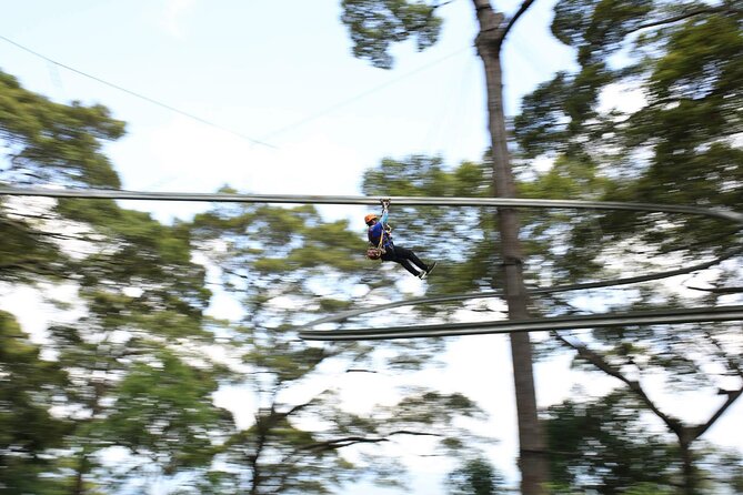 Chiang Mai Zip Line Experience - Snacks and Hydration: Why the Fruit Break Is More Than an Afterthought